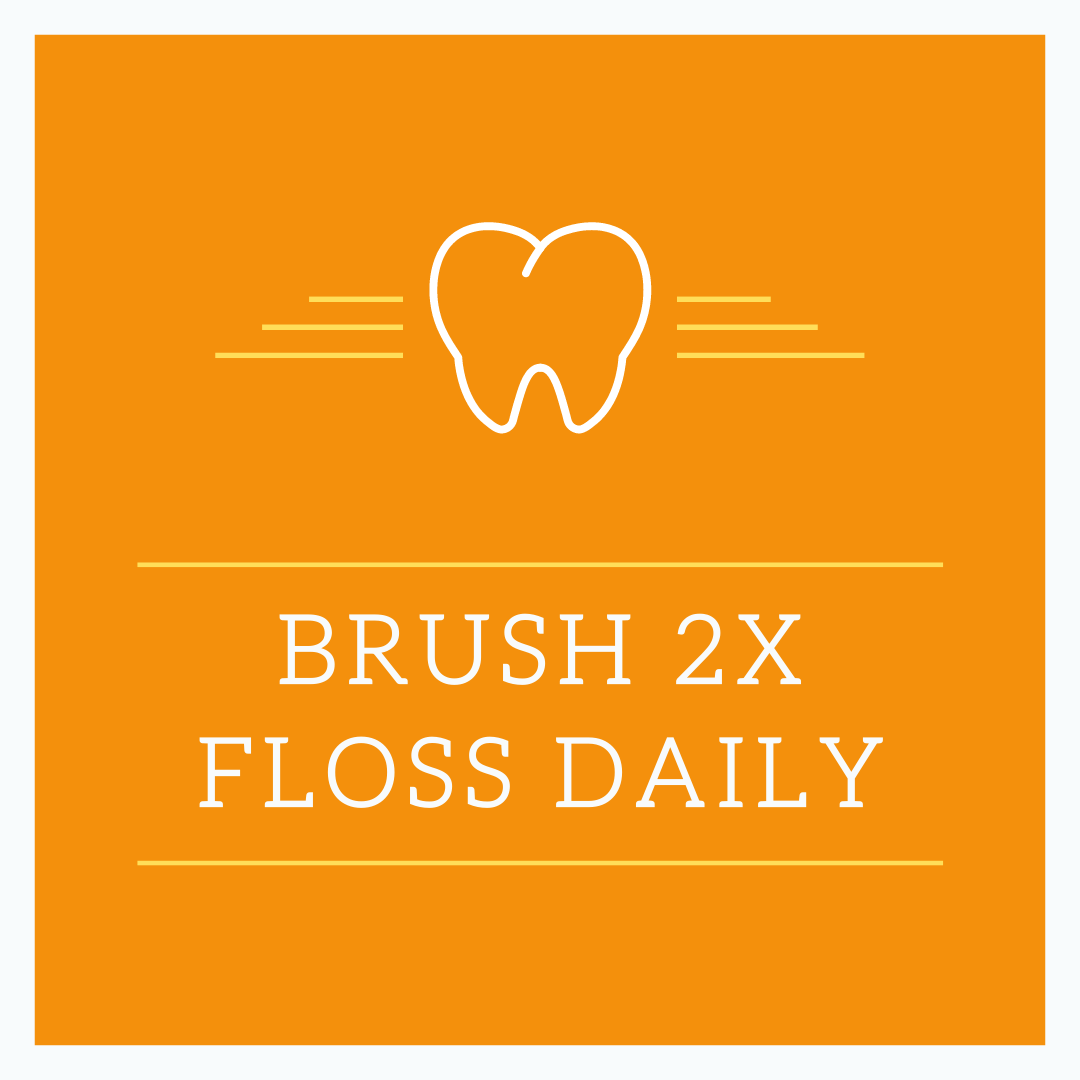 brush floss daily